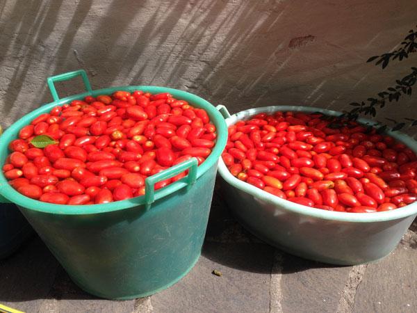 conserva-di-pomodoro-in-casa