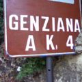 liquori-tipici-abruzzesi-genziana
